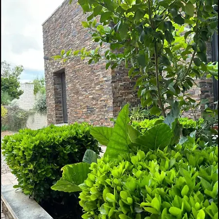 Galiana By Florentia Homes Villa