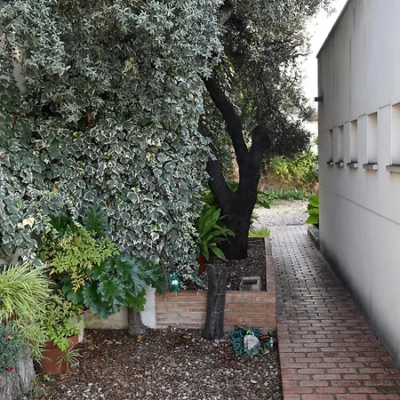 Villa Galiana By Florentia Homes